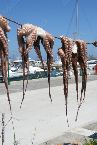 Octopus Naoussa Paros Cyclades Greece 04