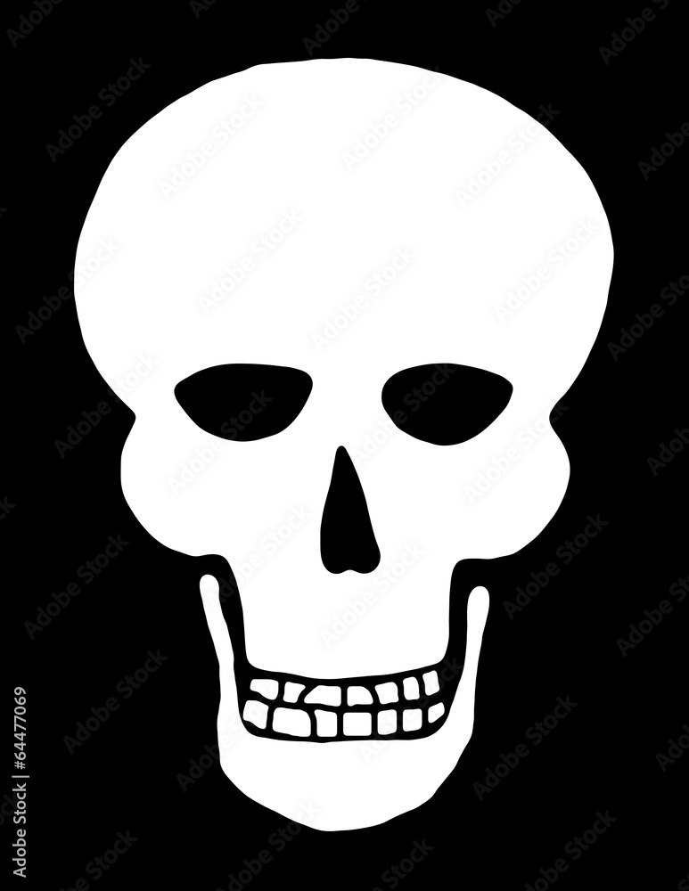 Obraz premium White Skull on Black