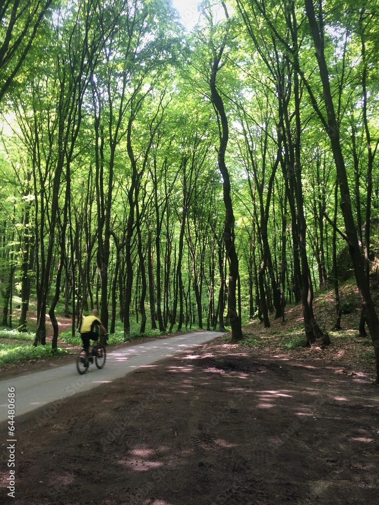 cycling cycling