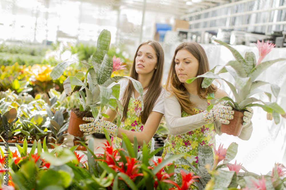 Obraz premium Young women in flower garden