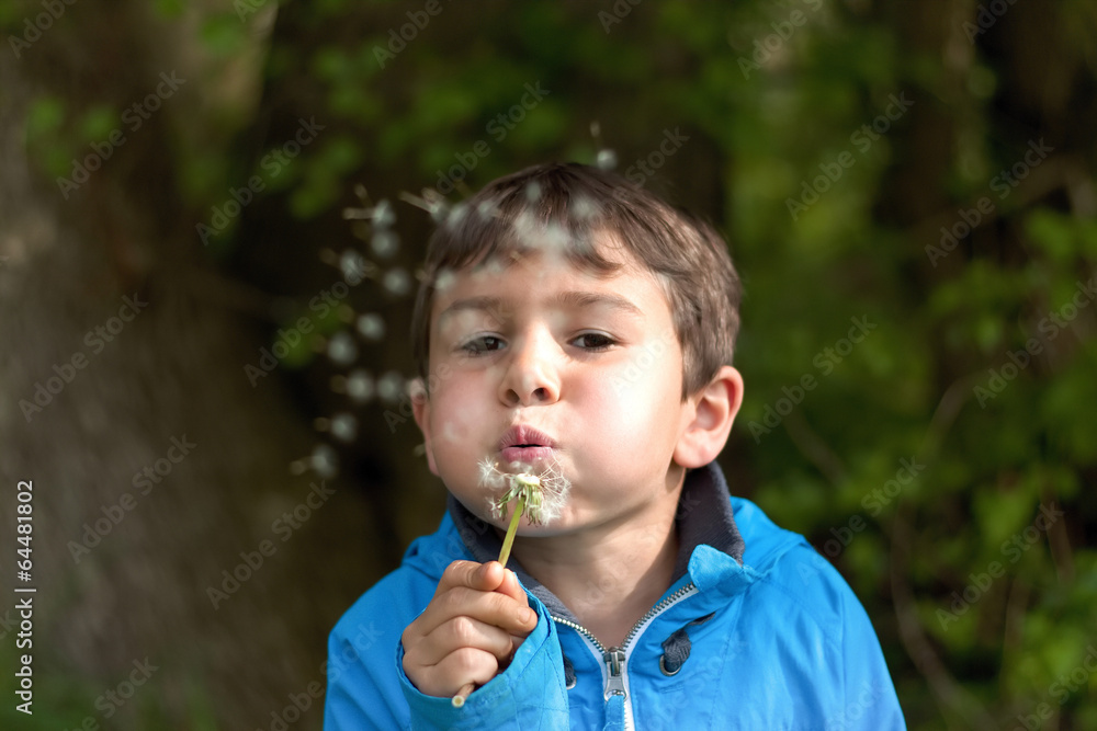 Junge blaest in eine Pusteblume