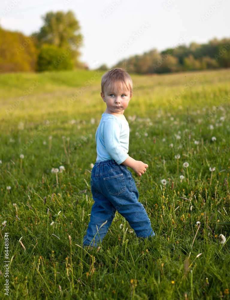 little boy in the meadow little boy in the meadow