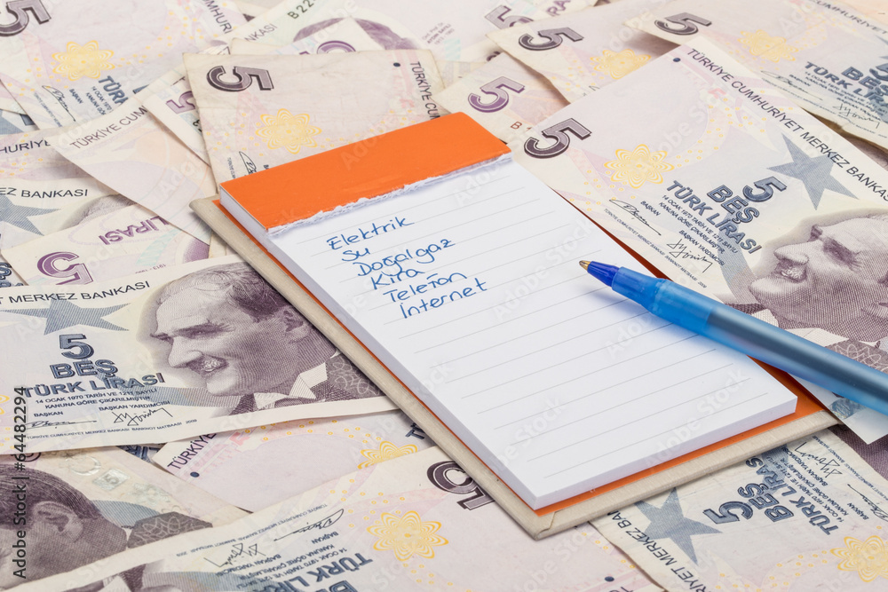 expenses and turkish lira expenses and turkish lira