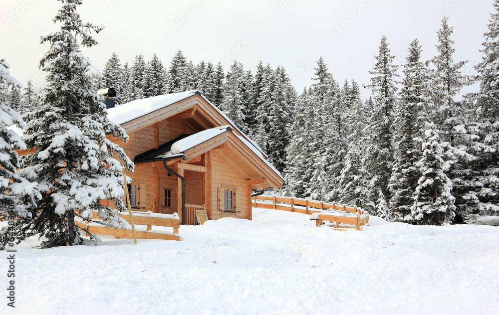 Holiday cottage, Alpine scenery.  Skiing Resort Zillertal Arena.