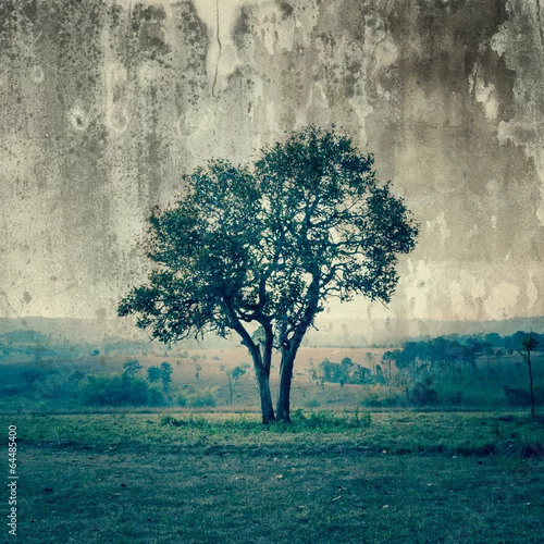 Obraz pojedyncze drzewo w abstrakcyjnych kolorach