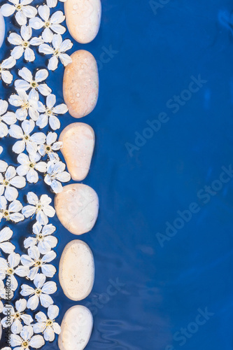 Flowers and stones in the water #64486277