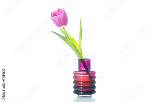 Fototapeta Naklejka Na Ścianę i Meble -  Tulpen in einer Vase