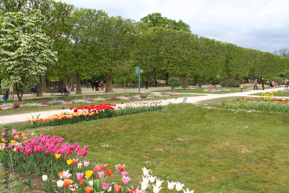 Jardin des plantes, Paris