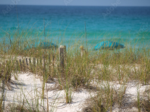 Beach Grass-16