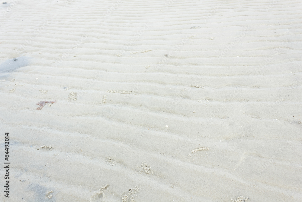 Fototapeta premium Traces of the waves on the beach