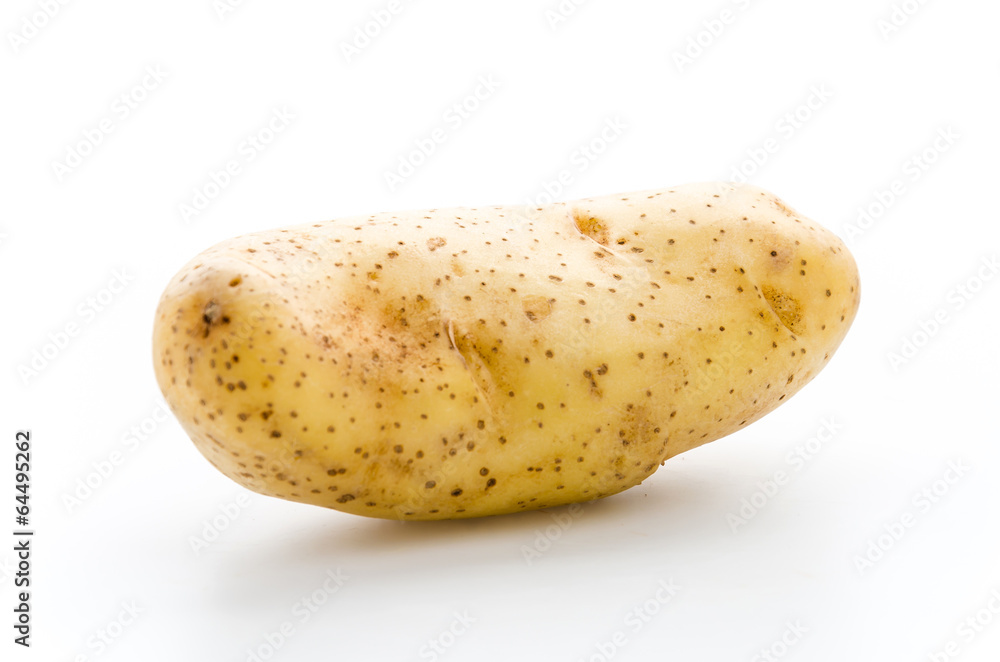 Potato isolated on white Potato isolated on white