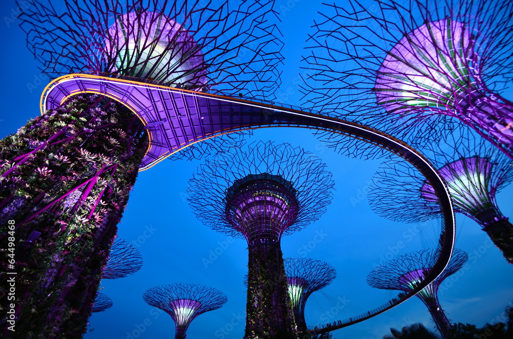 Obraz premium Supertrees at Gardens by the Bay in Singapore