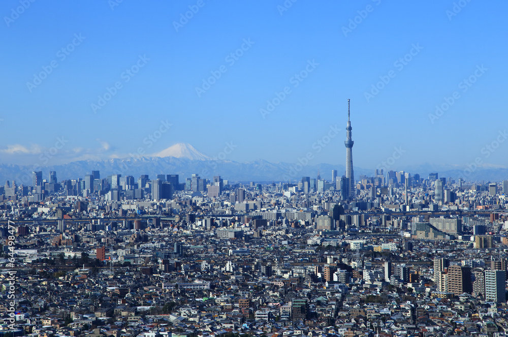 Obraz premium 東京都心の風景 富士山とスカイツリー