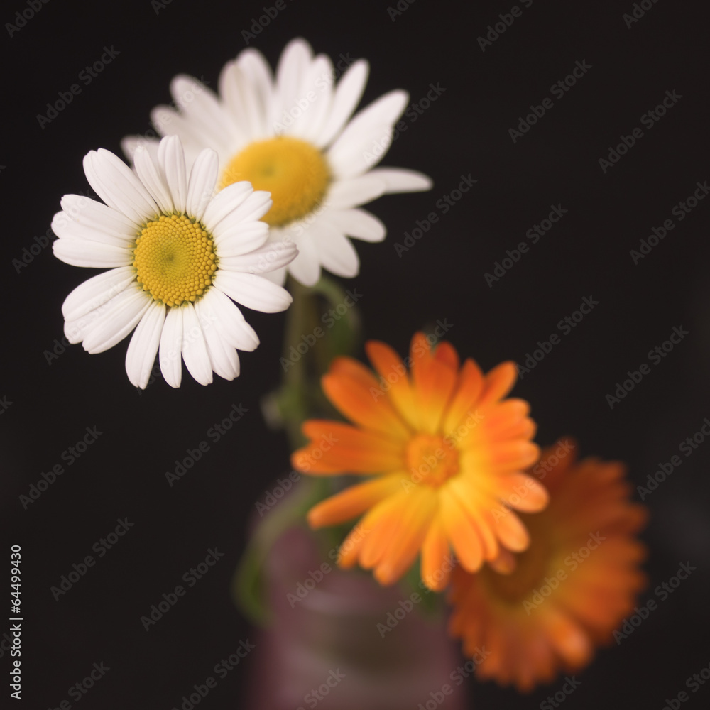 Blumiges Blumiges