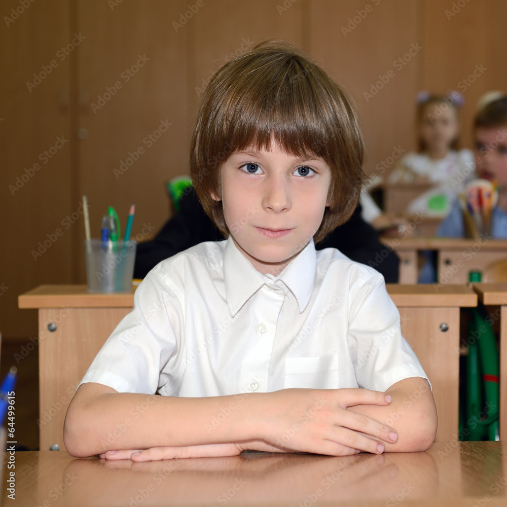 Portrait of schoolboy looking at camera at workplace with anothe Portrait of schoolboy looking at camera at workplace with anothe