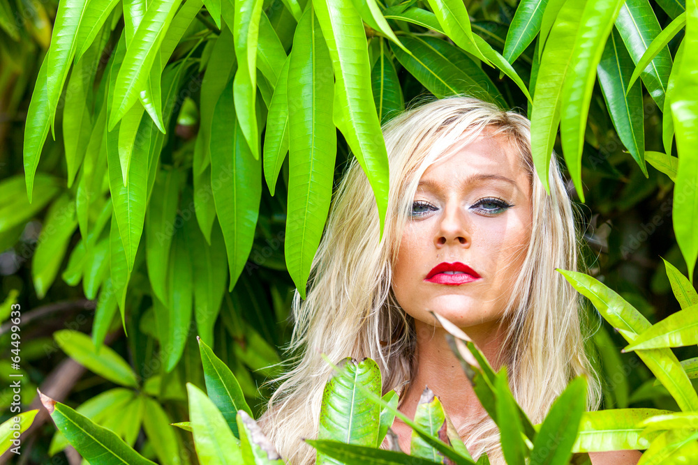 Jungle Fever Jungle Fever