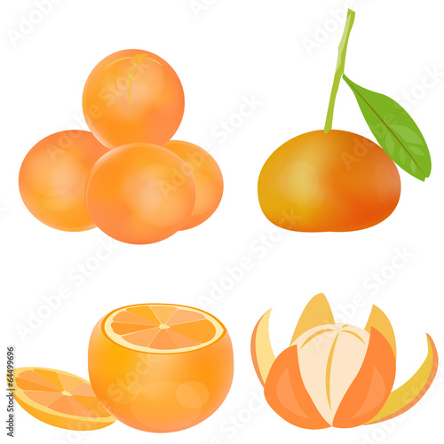 Orange vector set