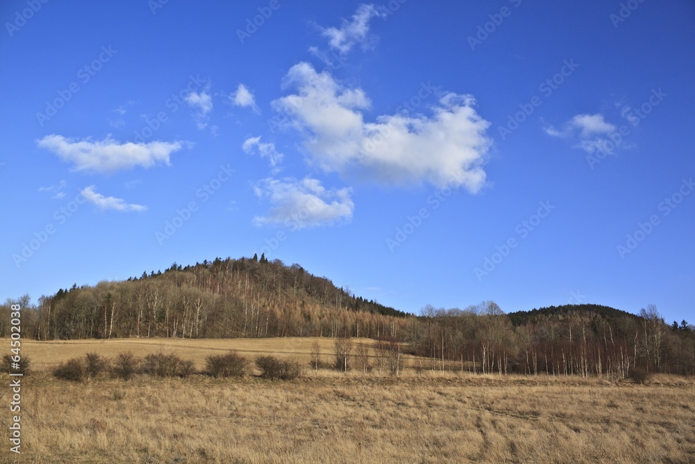 Beautiful landscape with fields and hills