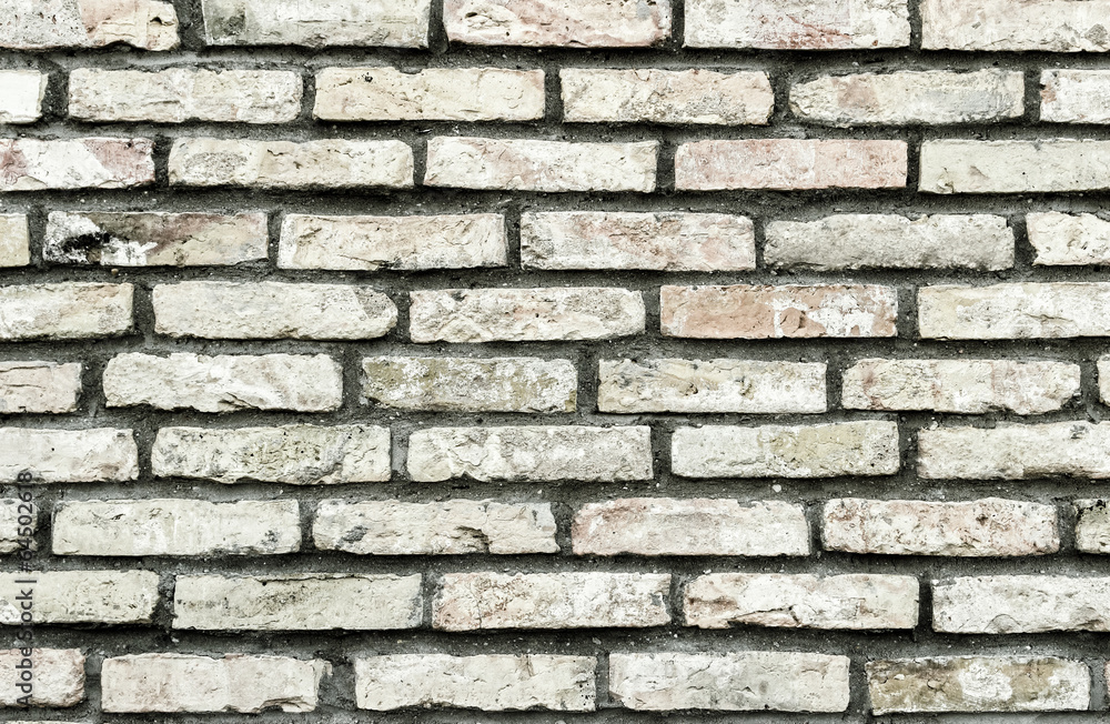 Obraz premium Background texture of a brick wall