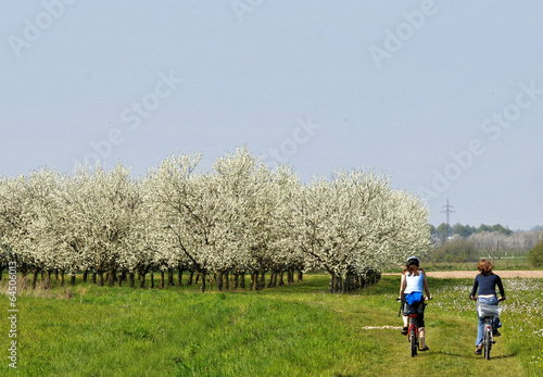 Fahrradtour im Frühling