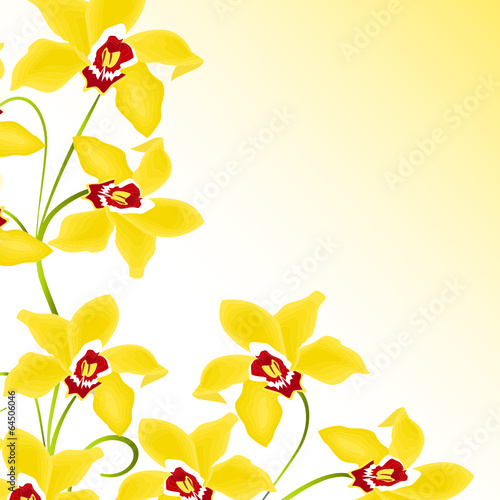 orchidee, floral, blume,blüte,rispe,pflanze,phalaenopsis,gelb