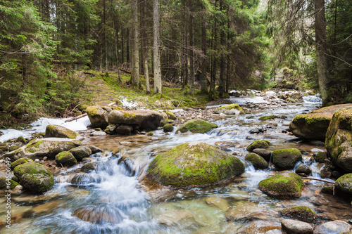 forest river