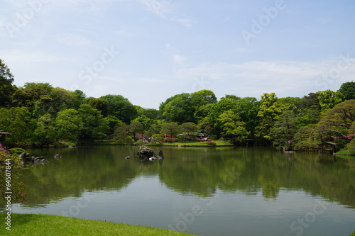 新緑の六義園