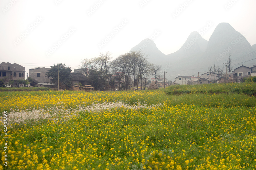Village and flower plantation scenery in Wanfenglin in China.