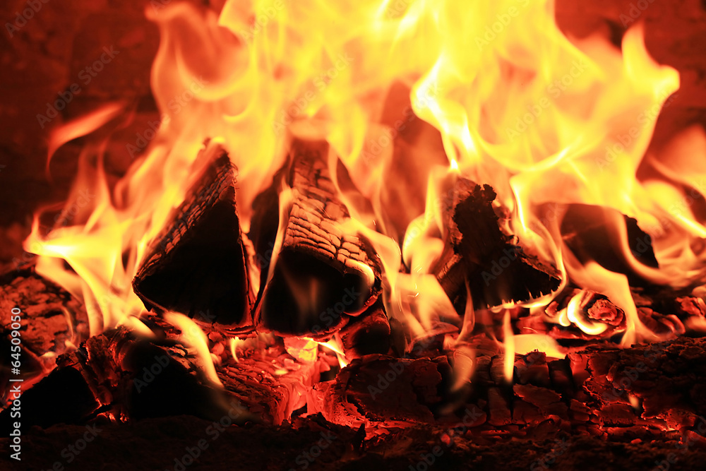 Fireplace with birch firewood and flame Fireplace with birch firewood and flame