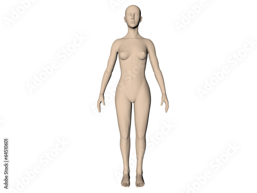corps femme 3D sur fond blanc Stock Illustration