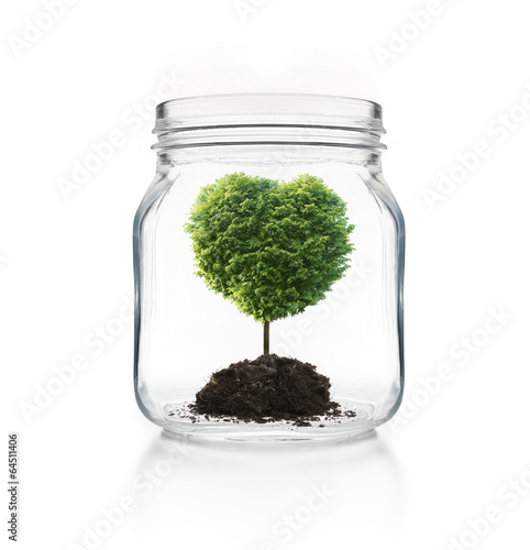 Einmachglas mit Baum