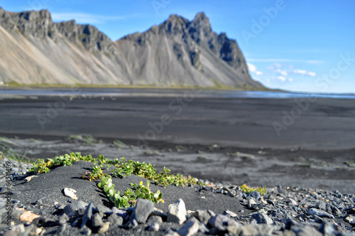 Iceland landscape
