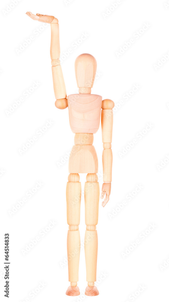 wooden Dummy with empty hand holding wooden Dummy with empty hand holding