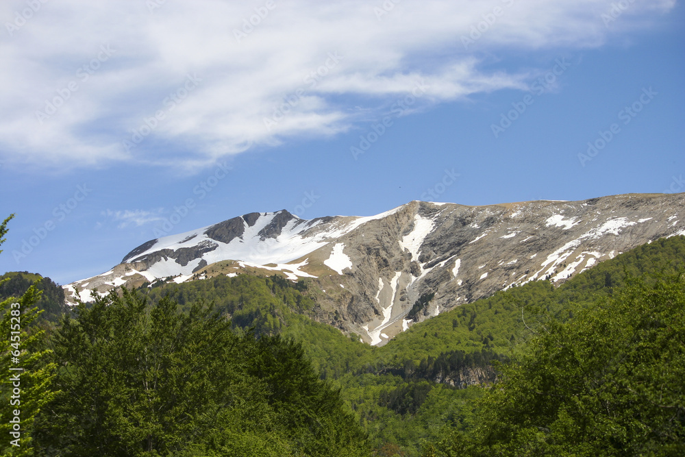 Picos de montaña