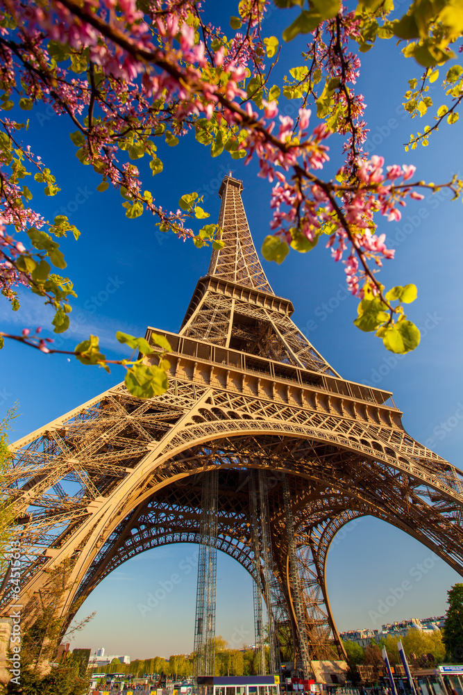 Naklejka premium Eiffel Tower during spring time in Paris, France