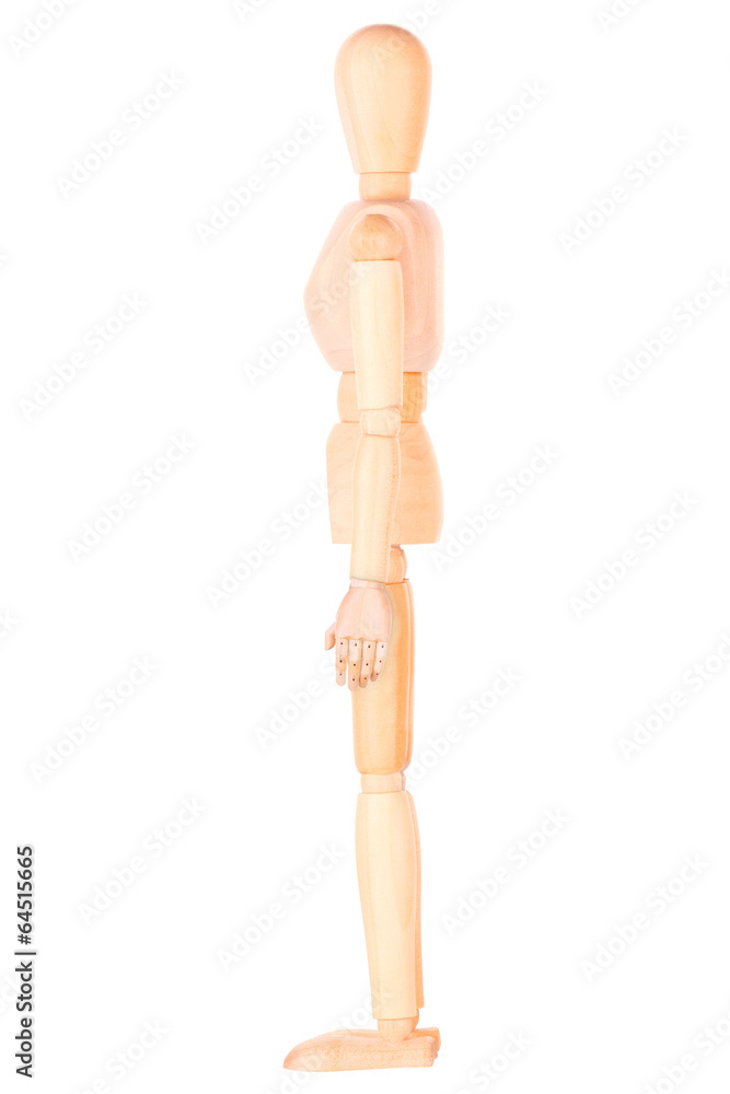 Close-up Of Wooden Dummy Isolated Close-up Of Wooden Dummy Isolated