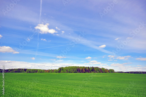 Grass field and sky photo