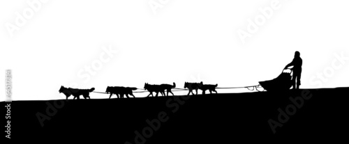 silhouette of a dog sled photo