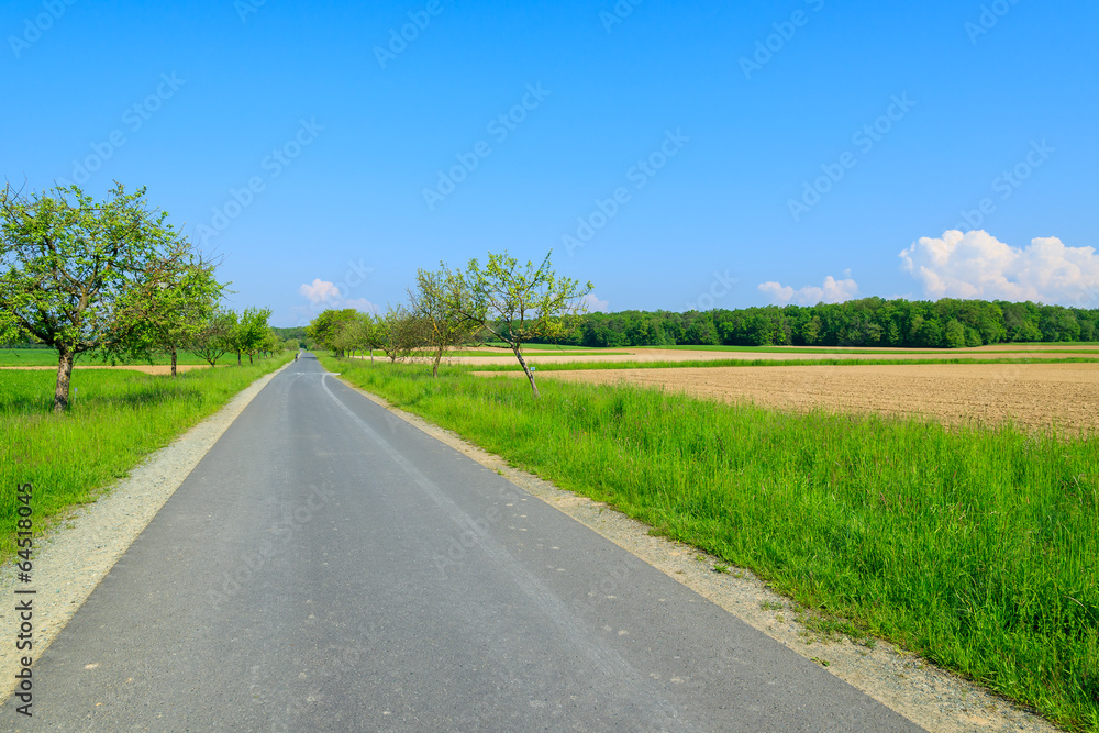 Road in farming fields with blue sky, Austria