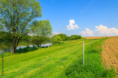 Green countryside landscape in spring by the lake, Austria