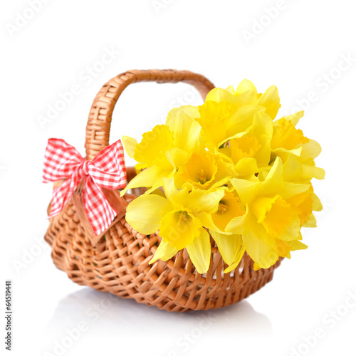 Daffodils in wicker basket