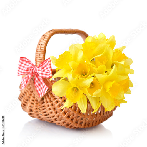 Fototapeta Naklejka Na Ścianę i Meble -  Daffodils in wicker basket
