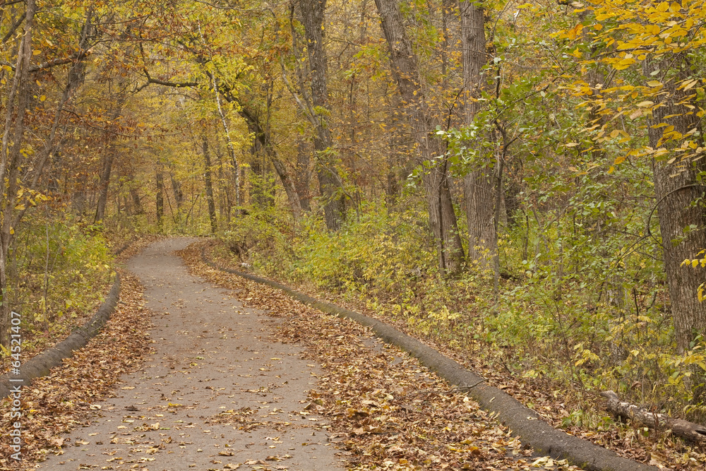 Obraz premium Fall Trail Scenic