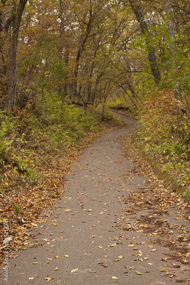 Fototapeta premium Fall Trail Scenic