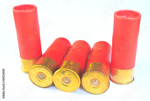 cartridges for shotgun 12 caliber