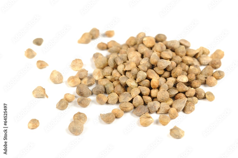 Spinach Seeds Isolated on White Background Spinach Seeds Isolated on White Background