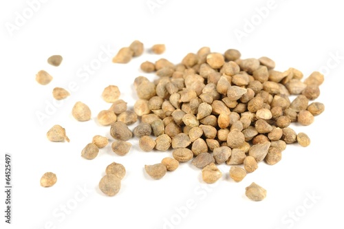 Spinach Seeds Isolated on White Background