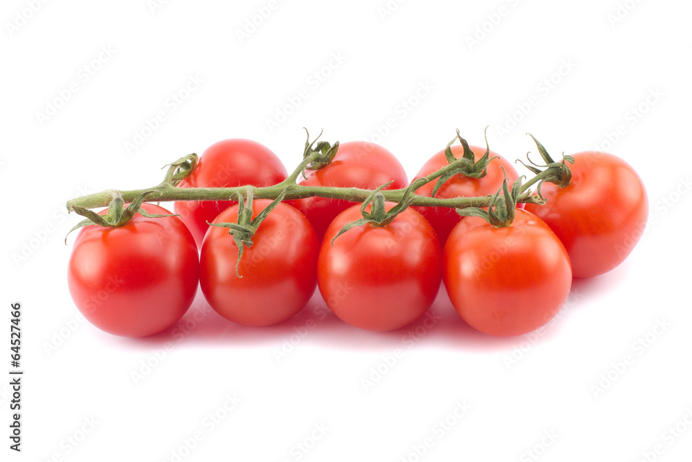 Cocktail tomatoes branch isolated on white Cocktail tomatoes branch isolated on white