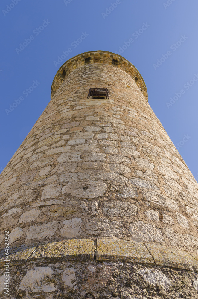 Castle tower