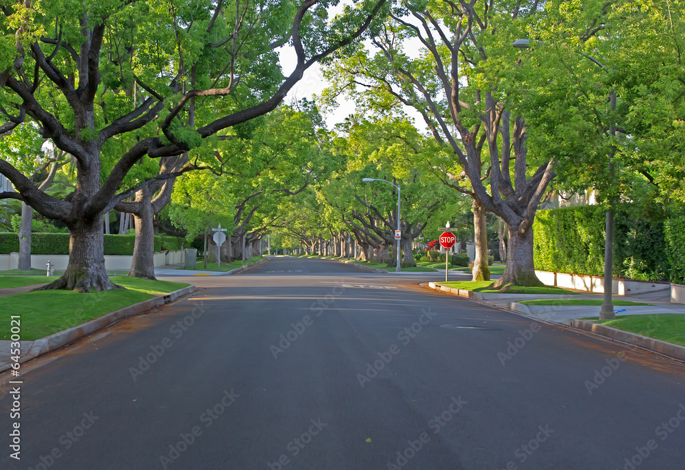 Obraz premium Beverly Hills Street